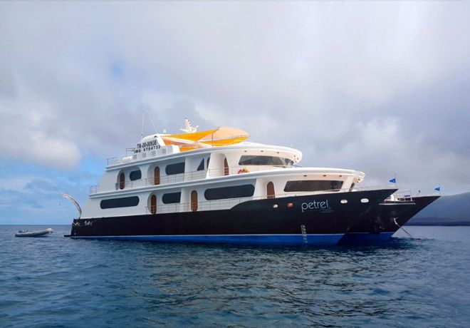 Galapagos luxury cruise petrel