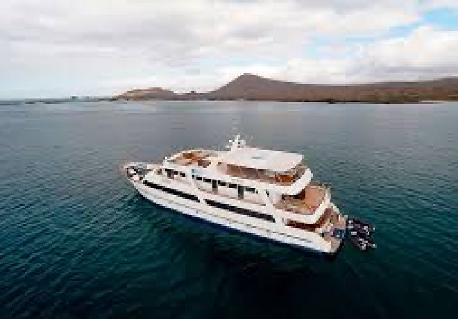 Galapagos luxury cruise sea star