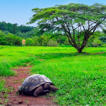 Galapagos islands tours