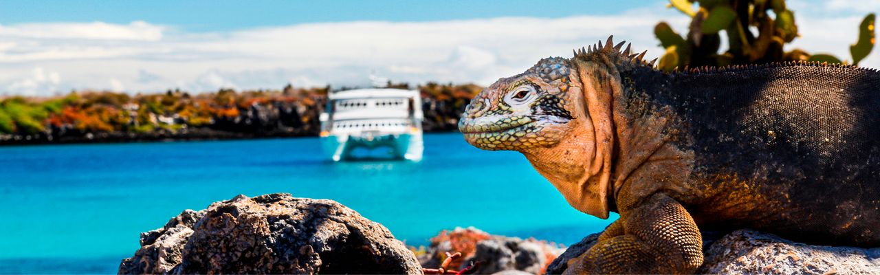 Galapagos islands