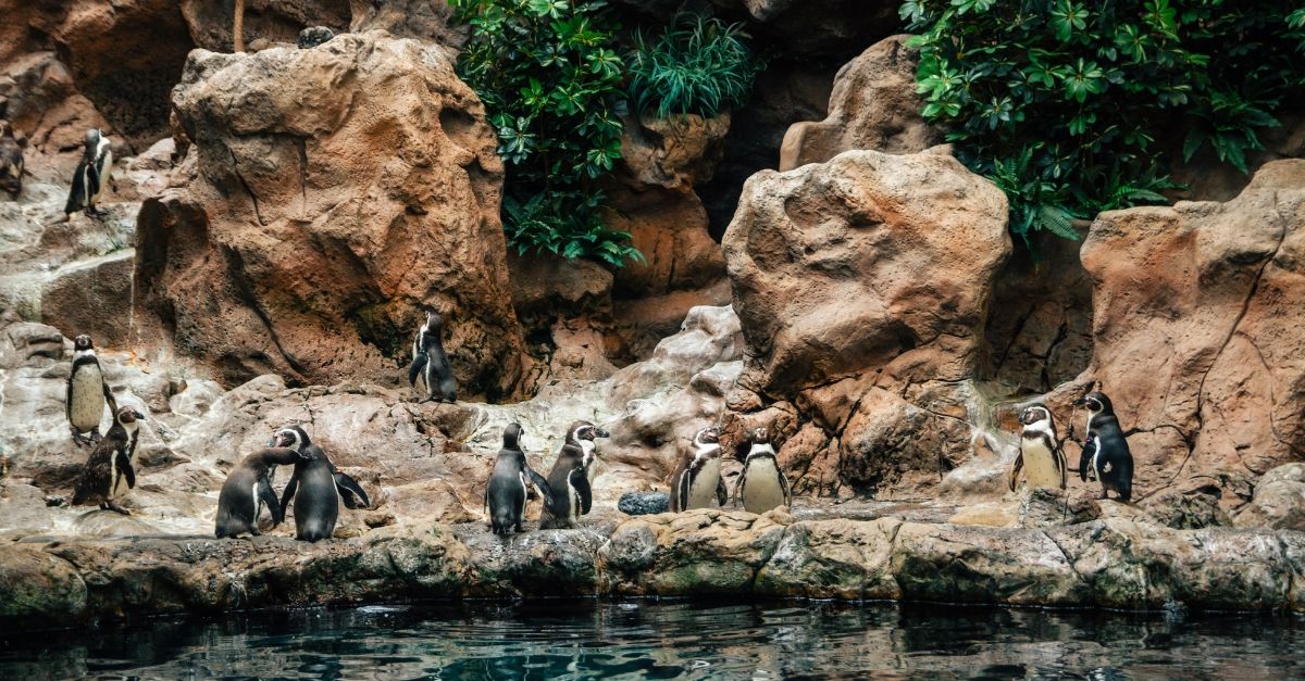 Ecuador and the Galapagos Islands: a true natural paradise